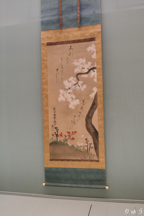尾形乾山筆《桜に春草図》　江戸時代　１８世紀