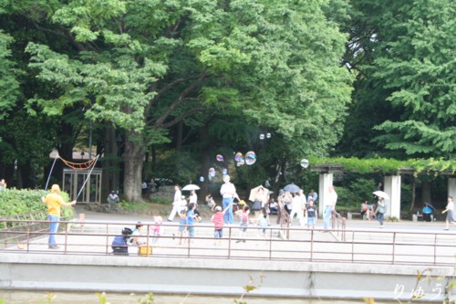 上野公園０５